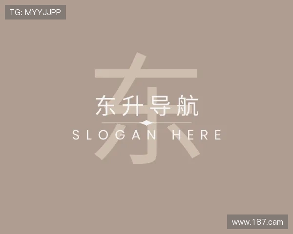 发掘东升导航